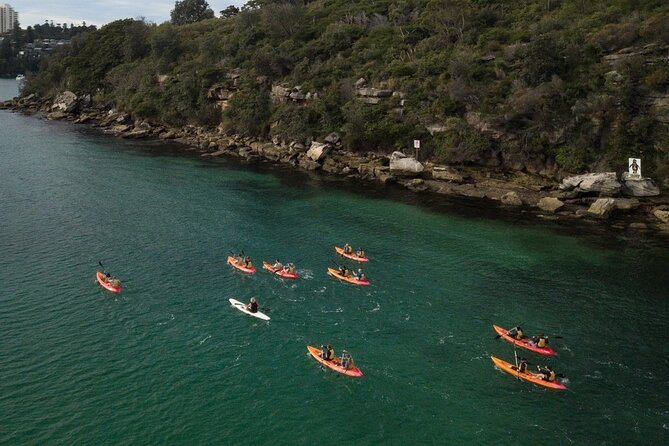 Double Kayak Hire - 4 Hours - Price And Practical Value