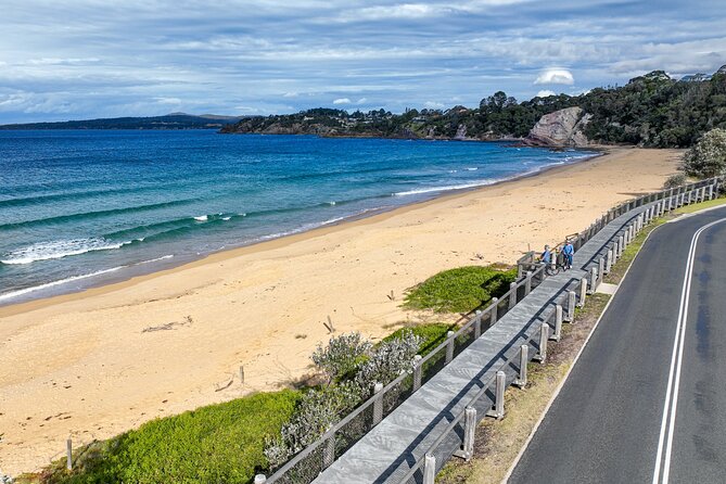 E-Bike Hire & Mountain Bike Hire Port of Eden - What four hours really gives you