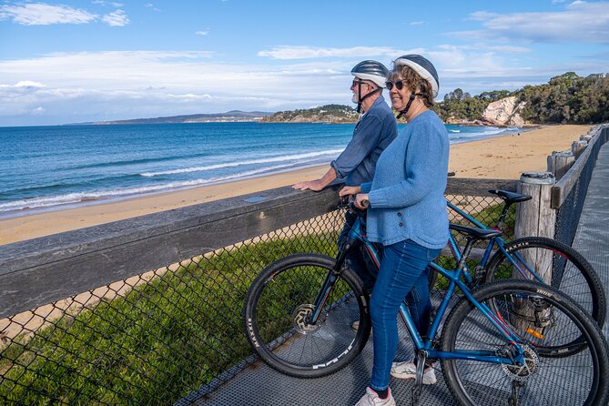 E-Bike Hire & Mountain Bike Hire Port of Eden - Price, equipment, and overall value