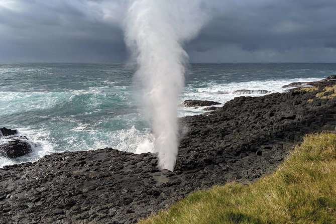 Erupting Blowholes and Ancient Rainforests SOUTH COAST OF SYDNEY PRIVATE TOUR - Key points at a glance