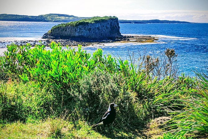 Erupting Blowholes and Ancient Rainforests SOUTH COAST OF SYDNEY PRIVATE TOUR - Why this South Coast day trip feels different
