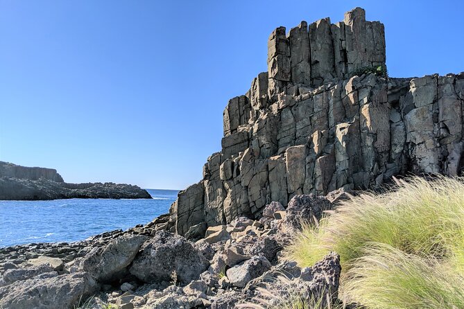 Erupting Blowholes and Ancient Rainforests SOUTH COAST OF SYDNEY PRIVATE TOUR - Saddleback Mountain and the road to Jamberoo