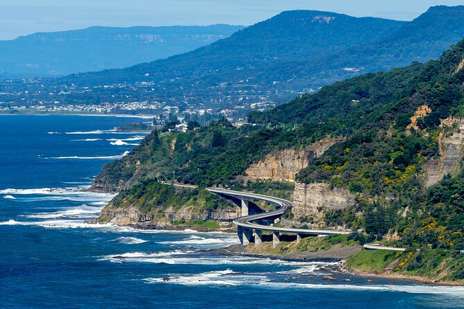 Escape Sydney: Sea Cliff Bridge, Wildlife, Kiama Coast Private - Key points to know before booking