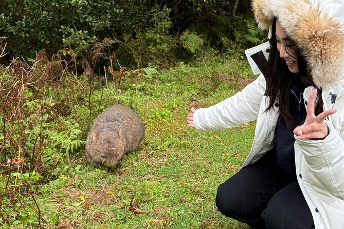 Escape Sydney: Sea Cliff Bridge, Wildlife, Kiama Coast Private - Jamberoo and Thirroul show two sides of the region