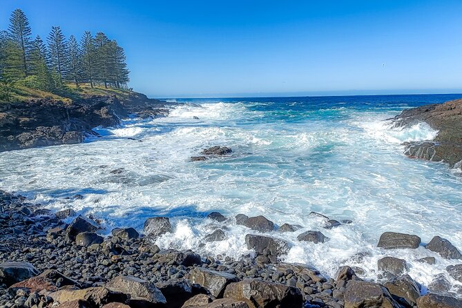 Escape Sydney: Sea Cliff Bridge, Wildlife, Kiama Coast Private - Lunch, snacks, and what the included gear means