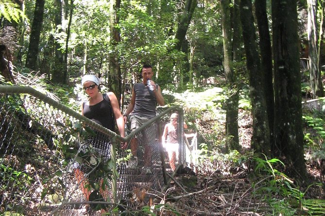 Exclusive Blue Mountains Wildlife and Bushwalk Tour From Sydney - How good are the guides?