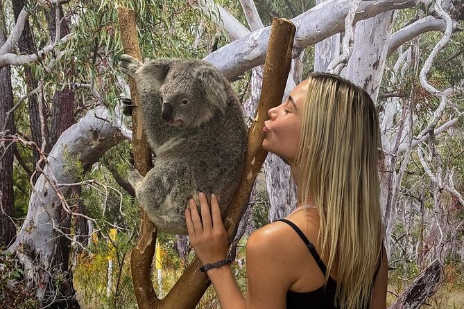 Featherdale Wildlife Park with Exclusive Private Transfers - Key points to know before booking