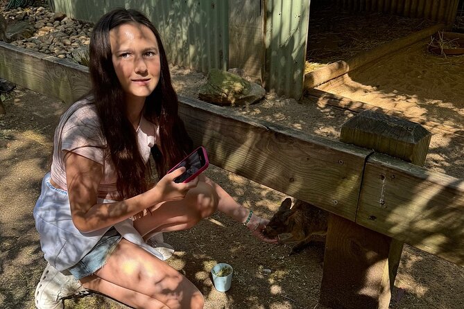 Featherdale Wildlife Park with Exclusive Private Transfers - The best time to visit
