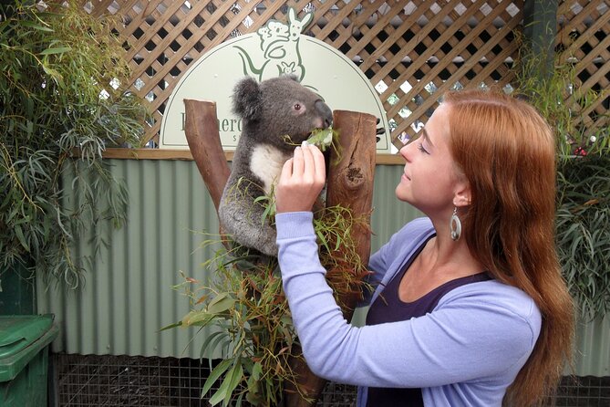Featherdale Wildlife Park with Exclusive Private Transfers - Practical details that affect your choice