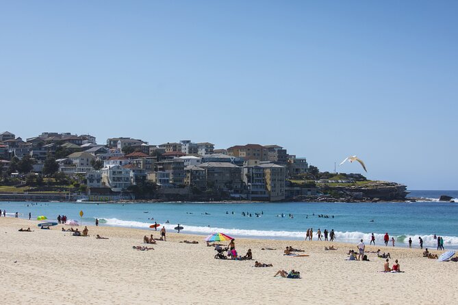 First Timer Sydney Sightseeing & Bondi Beach 1/2 Day Tour - What the $56.66 price really covers