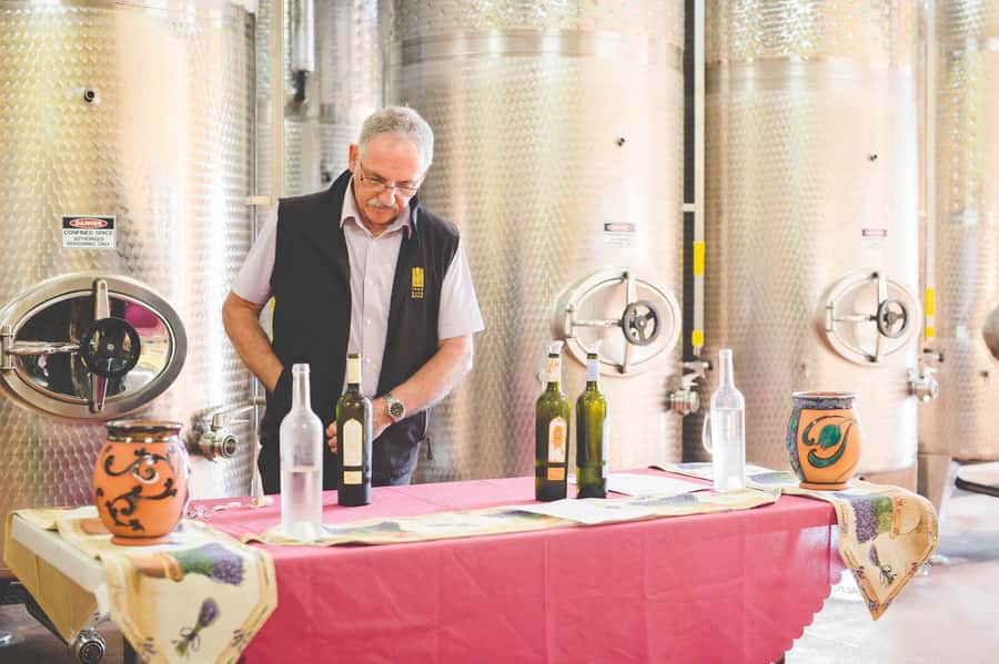From Sydney: Award-Winning Hunter Valley Wine & Cheese Tour - Why the Hunter Valley works as a day trip from Sydney