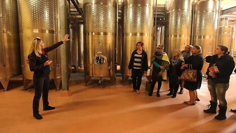From Sydney: Award-Winning Hunter Valley Wine & Cheese Tour - The first two boutique cellar doors