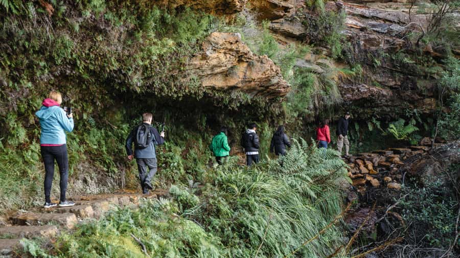 From Sydney: Blue Mountains Bushwalks & Featherdale Tour - Govetts Leap and the second great view