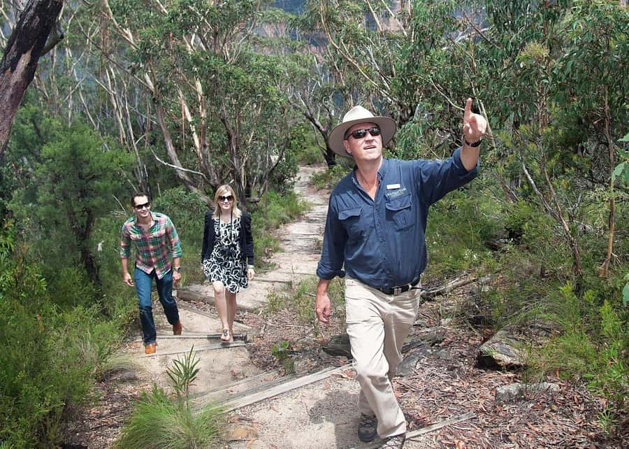 From Sydney: Blue Mountains Bushwalks & Featherdale Tour - Featherdale Wildlife Park: a useful start to the day