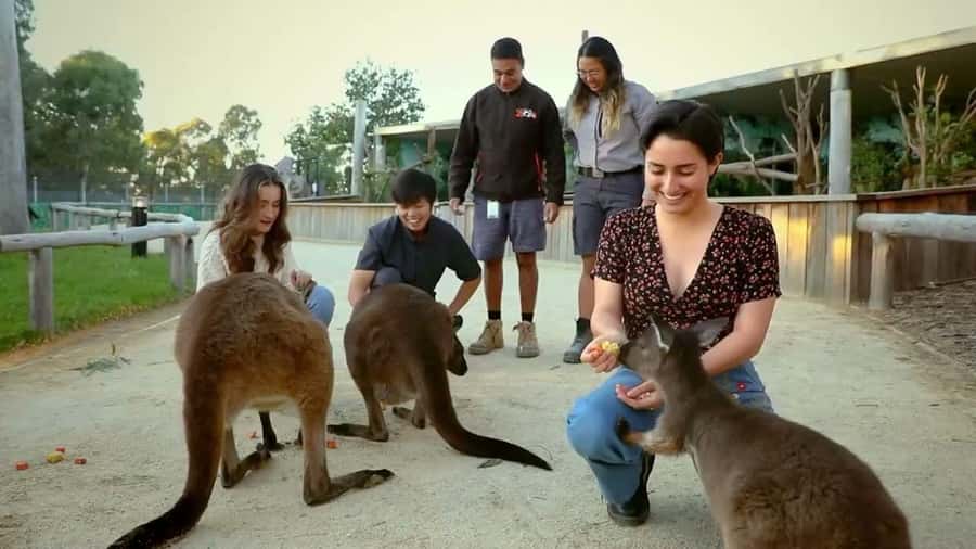From Sydney: Blue Mountains Day Tour & Hop-on, Hop-off Tour - Echo Point and the Three Sisters