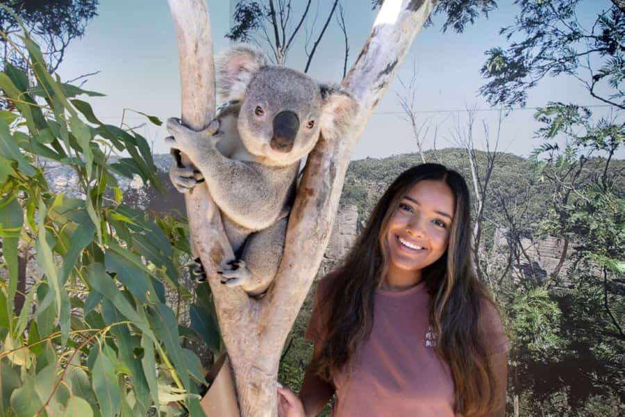 From Sydney: Blue Mountains Day Tour & Hop-on, Hop-off Tour - Sydney Zoo and close encounters with Australian wildlife
