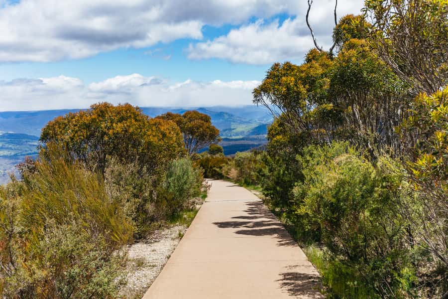 From Sydney: Blue Mountains Full-Day Trip - Leura Village and your own lunch