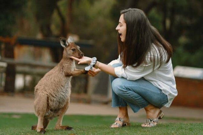 From Sydney Blue Mountains Private Tour with Wildlife Park - Key points at a glance