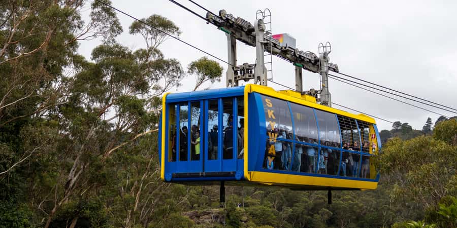 From Sydney: Blue Mountains, Scenic Railway, & Sydney Zoo - Morning pickup from central Sydney