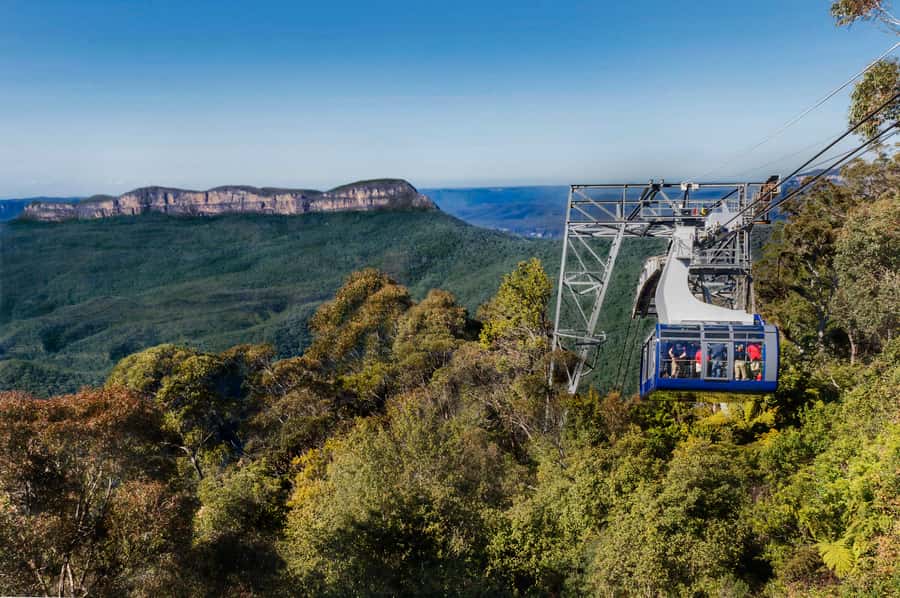 From Sydney: Blue Mountains, Scenic World, Zoo, & Ferry Ride - Scenic World: railway, Skyway, cableway, and rainforest