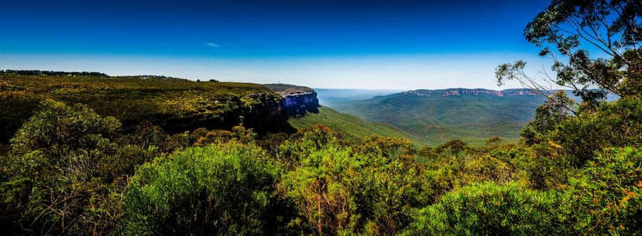 From Sydney: Blue Mountains Small-Group Tour Picnic & Hike - Key points at a glance