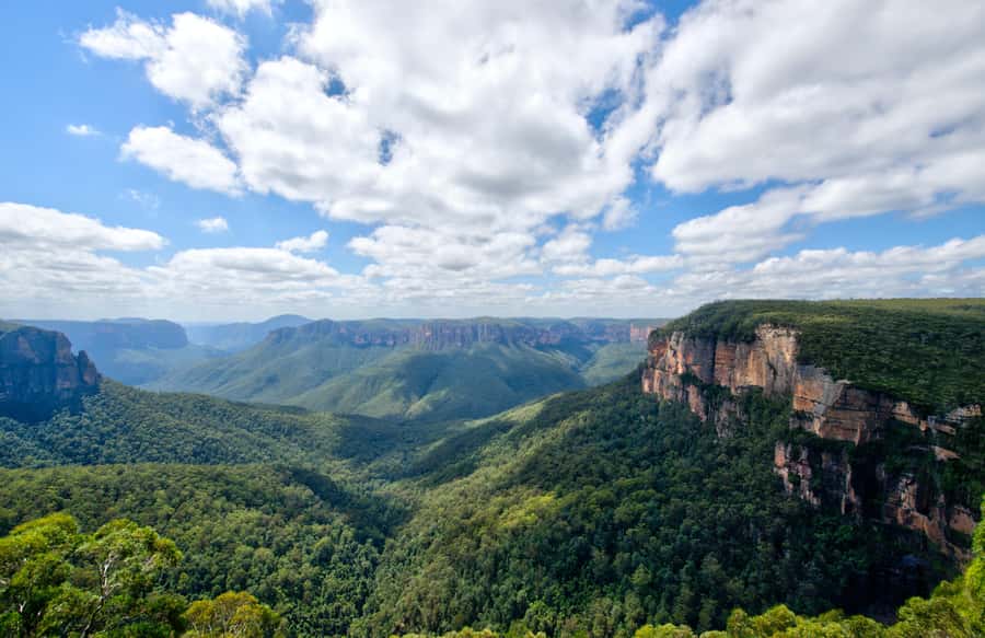 From Sydney: Blue Mountains, Sydney Zoo & Walking Tour - The guide can make a long day work