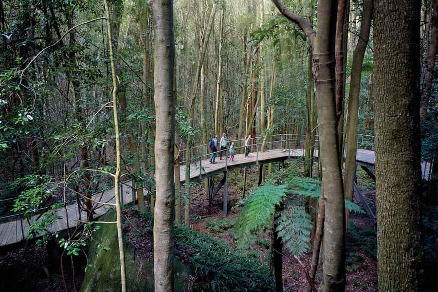 From Sydney: Blue Mountains, Sydney Zoo & Walking Tour - Katoomba Falls brings the best walking time