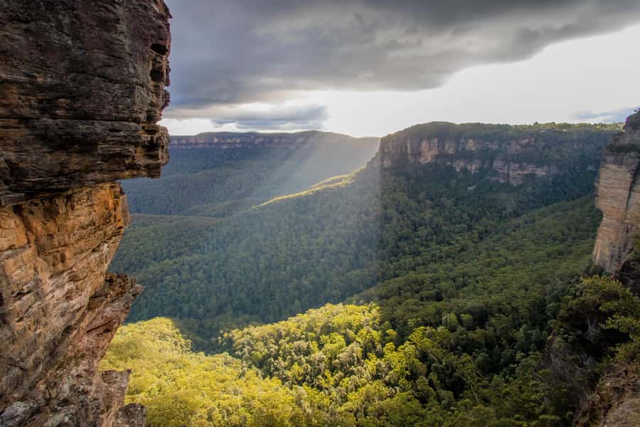 From Sydney: Blue Mountains, Sydney Zoo & Walking Tour - What the $77 price really covers