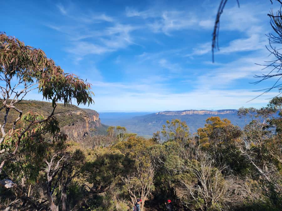 From Sydney: Blue Mountains Tour with Waterfall Walk & Lunch - Key points to know before booking