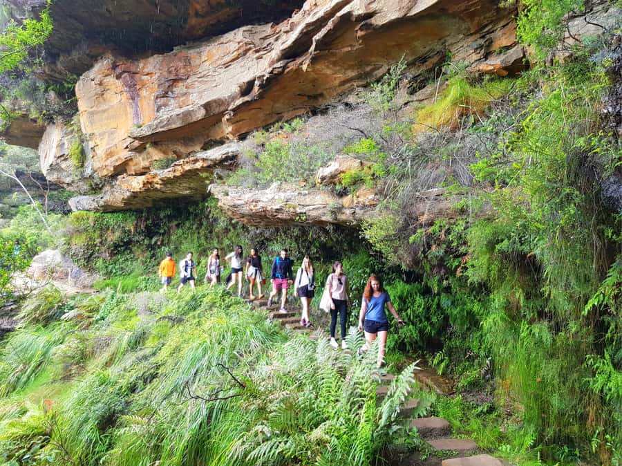 From Sydney: Blue Mountains Tour with Waterfall Walk & Lunch - Why the waterfall walk changes the whole day