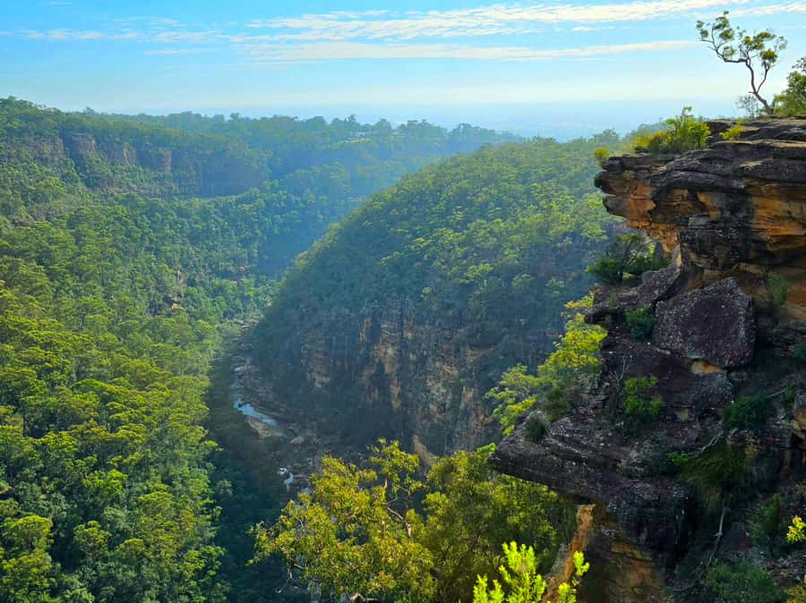 From Sydney: Blue Mountains Tour with Waterfall Walk & Lunch - Guides who shape the experience