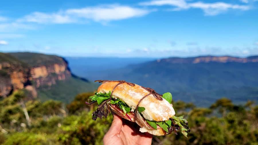 From Sydney: Blue Mountains Tour with Waterfall Walk & Lunch - Who should choose this tour?