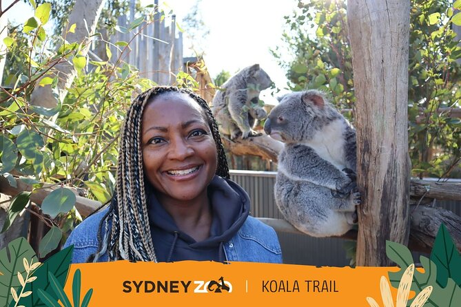 From Sydney: Blue Mountains with Zoo, Koala Photo & Scenic World - Gordon Falls Lookout adds waterfalls and forest air