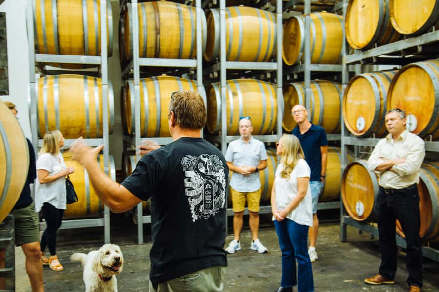 From Sydney: Full-Day Hunter Valley Tour w/ Tastings & Lunch - Third winery: cheese, more wine, and the afternoon pace