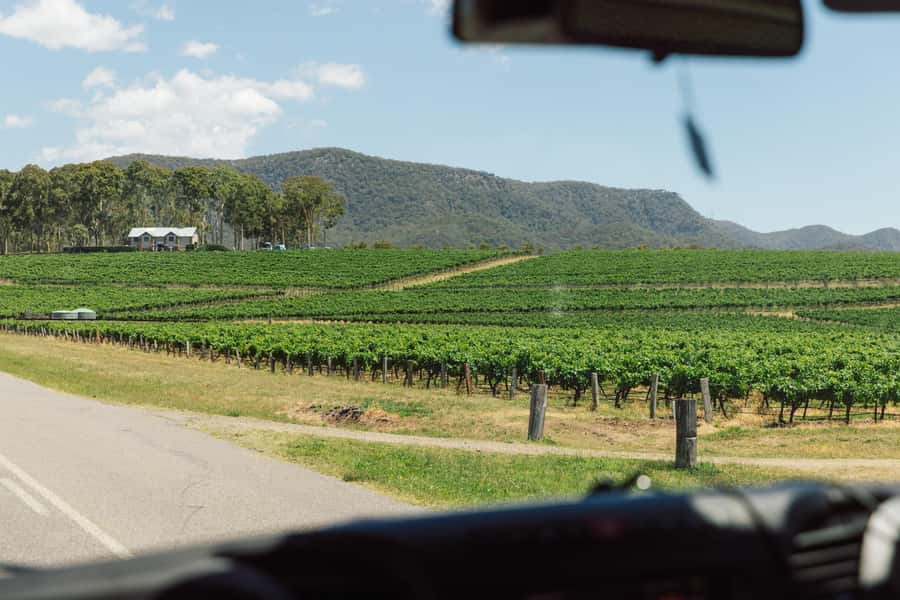 From Sydney: Full-Day Hunter Valley Wine Tour & Lunch - The second cellar door, with chocolate on the side