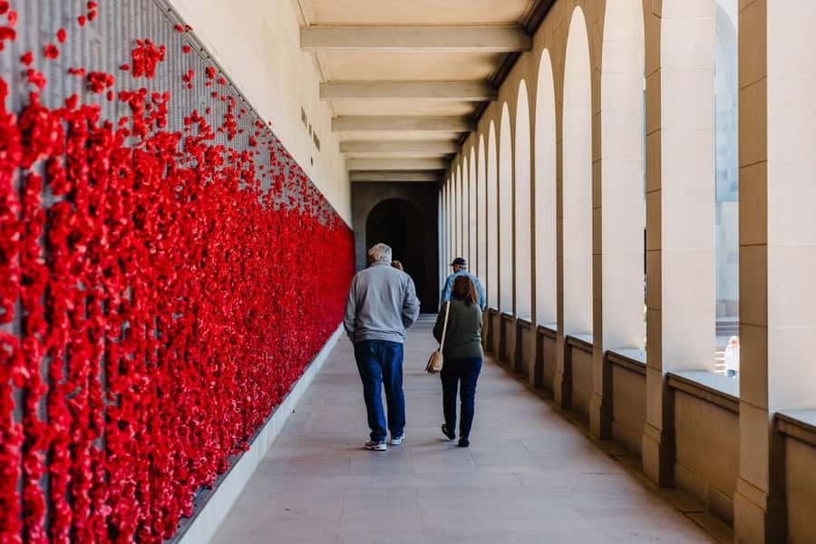 From Sydney: Full-Day Tour to Canberra - What the small-group setup changes