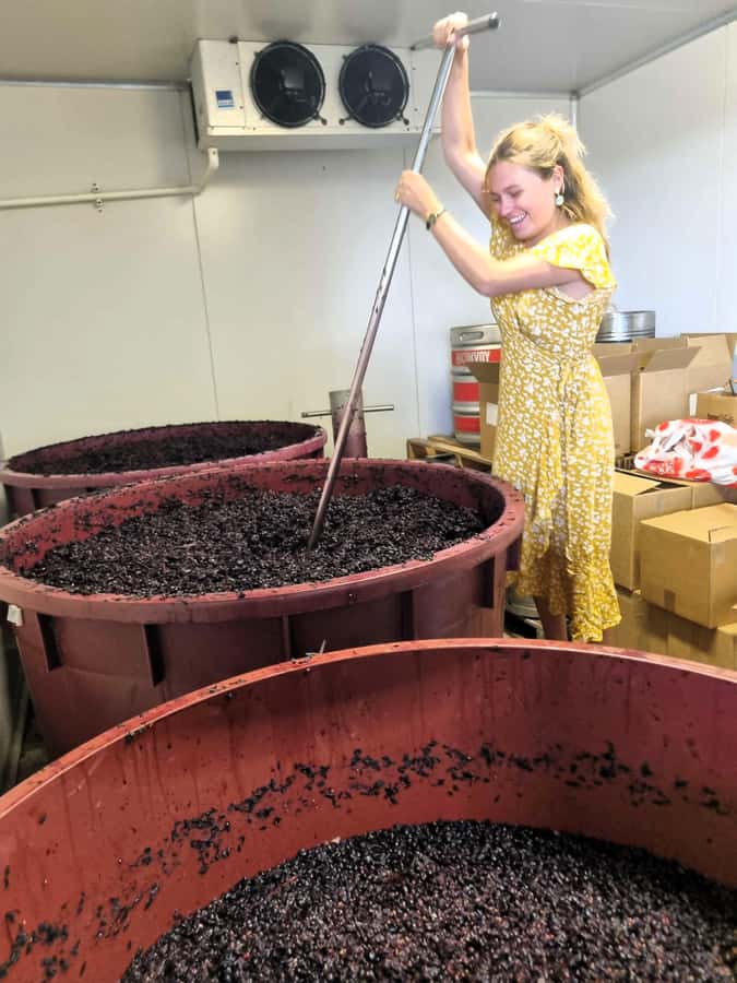 From Sydney: Hunter Valley Beer & Wine Group Tour - Key points to know before booking