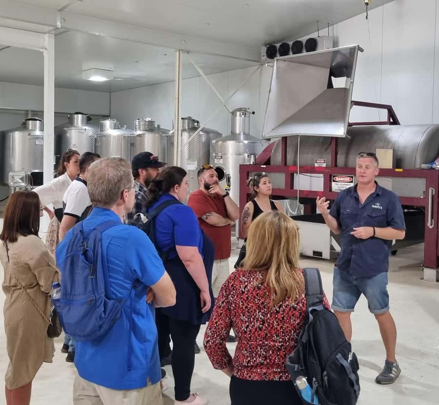 From Sydney: Hunter Valley Beer & Wine Group Tour - Leaving Sydney for the Hunter Valley