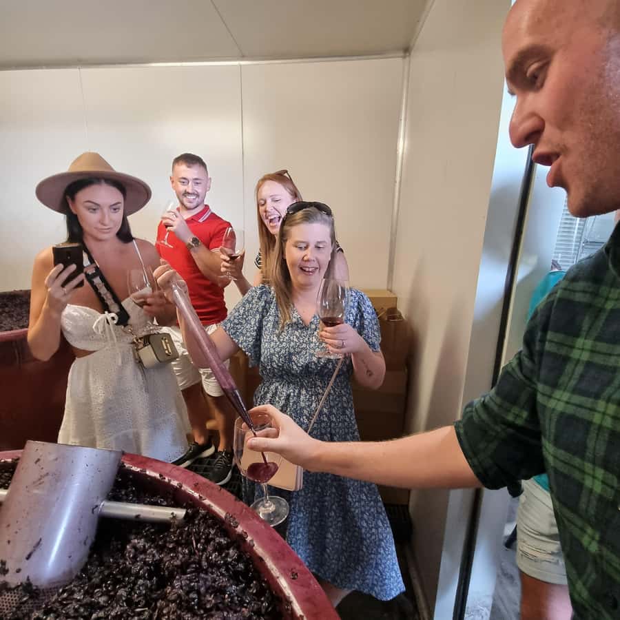 From Sydney: Hunter Valley Wine, Gin & Food Tastings Tour - Should you book it?