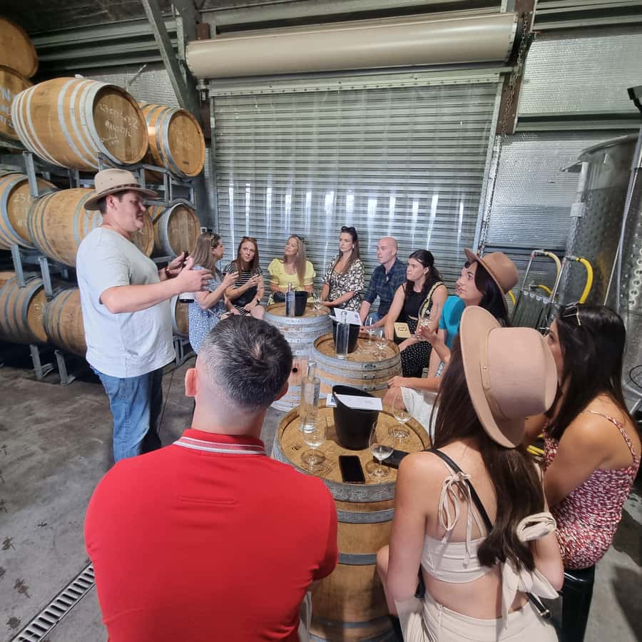 From Sydney: Hunter Valley Wine, Gin & Food Tastings Tour - Lunch with pizza, wine, beer, or cider