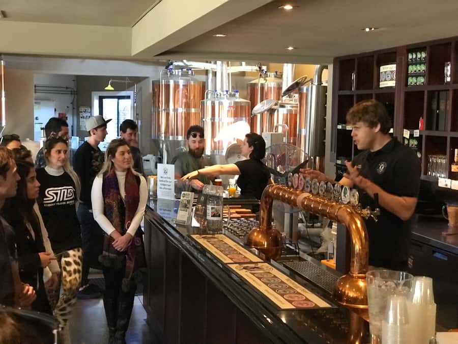 From Sydney: Hunter Valley Wine Tasting & Winery Picnic Tour - The final winery and the vineyard picnic