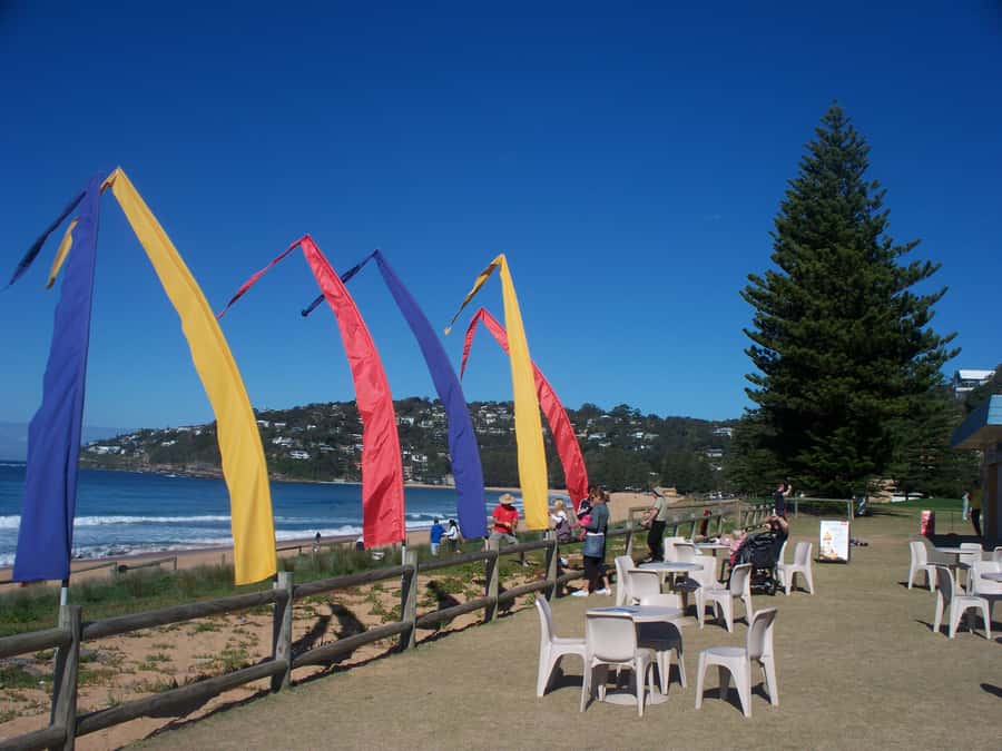 From Sydney: Location Tour of Home and Away - Key points at a glance