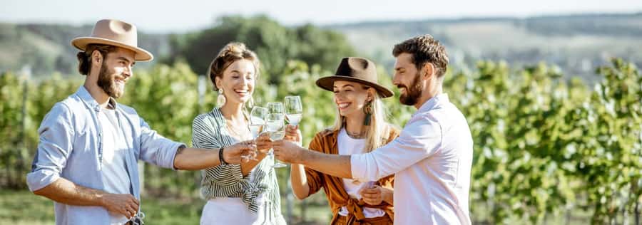 From Sydney: Luxury Hunter Valley Private Tour - Cheese gives the wine tasting some balance