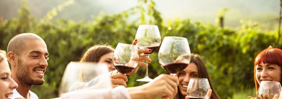 From Sydney: Luxury Hunter Valley Private Tour - Timing, comfort, and practical concerns