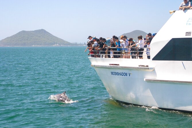 From Sydney: Port Stephens Dolphin, Koalas, Lunch & Sandboarding - Key things to know before booking