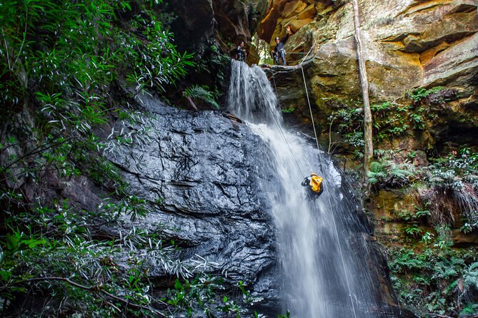 Full-Day Canyoning Experience at Stunning Empress Canyon - Jumps, swims, and waterslides in the creek