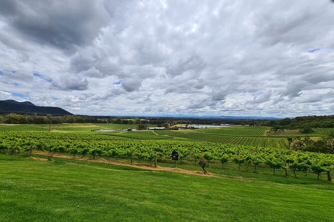 Full Day Private Wine Tour Exclusively Tailored To Suit You - A Hunter Valley day built around your taste