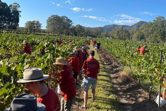 Full Day Private Wine Tour Exclusively Tailored To Suit You - Choosing from more than 200 local venues