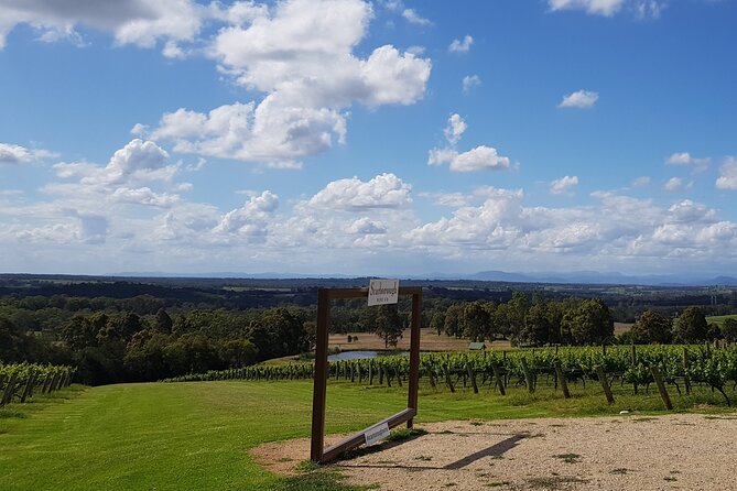 Full Day Private Wine Tour Exclusively Tailored To Suit You - Who gets the best value from this tour?