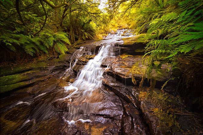Fully Inclusive Blue Mountains Private Tour inc Scenic World & Featherdale Entry - Scenic World’s three rides in one visit